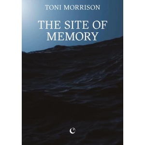 Site of Memory (ISBN: 9781068591891)