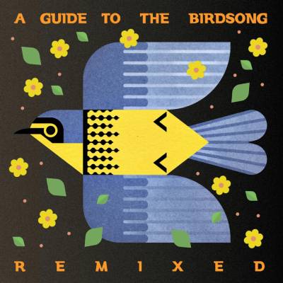 Various Artists - A Guide to the Birdsong Remixed LP