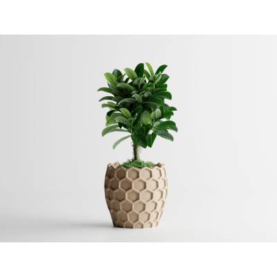 Кашпа Beehavia Малка, 151x151xH146мм- Пясъчен Мат