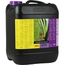 ATAMI B’cuzz 1-Component Soil 10L