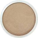 Panpastel 9 ml 930.5 bronze