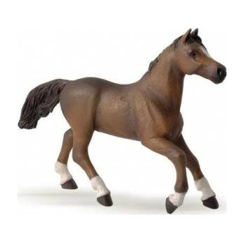 Papo Anglo-Arabian mare