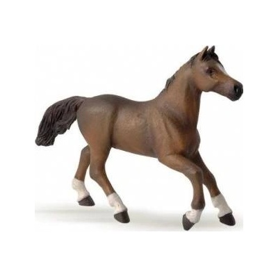 Papo Anglo-Arabian mare