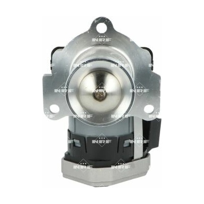 AGR - Ventil NRF 48730