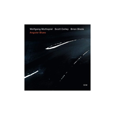 Muthspiel/Colley/Blade - Angular Blues CD