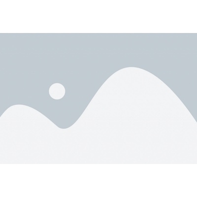 Lassa Snoways 4 175/65 R14 82T