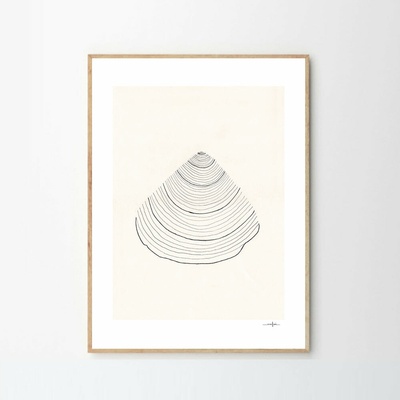 Moikka Plagát Shell by Ana Frois 50x70