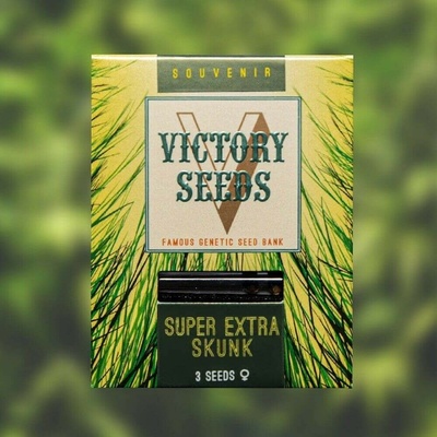 Victory Seeds Super Extra Skunk semienka neobsahujú THC 5 ks