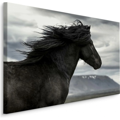 MyBestHome BOX Plátno Černý Kůň I. Varianta: 90x60