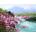 Norimpex - Puzzle Diamant painting: Rose bush by the stream 30x40cm - 1 - 39 piese