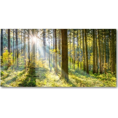 Foto obraz sklo tvrzené les slnko 100x50 cm
