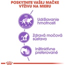 Royal Canin Sterilised Gravy 12 x 85 g