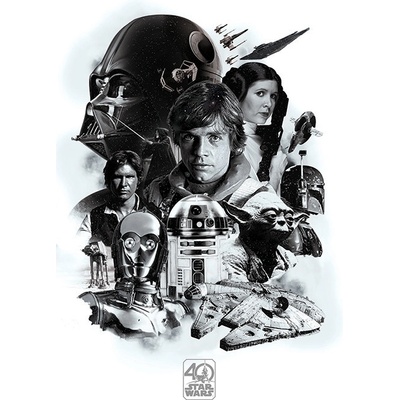 Plagát, Obraz - Star Wars - 40. výročie, 61 × 91.5 cm