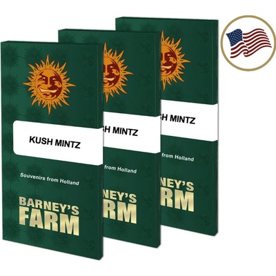 Barney's Farm Kush Mintz semienka neobsahujú THC 5 ks