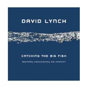 Catching the Big Fish | David Lynch (ISBN: 9781585425402)
