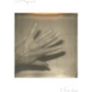 Shade - Grouper LP