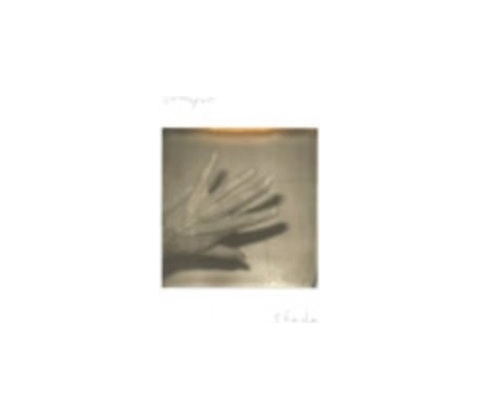 Shade - Grouper LP