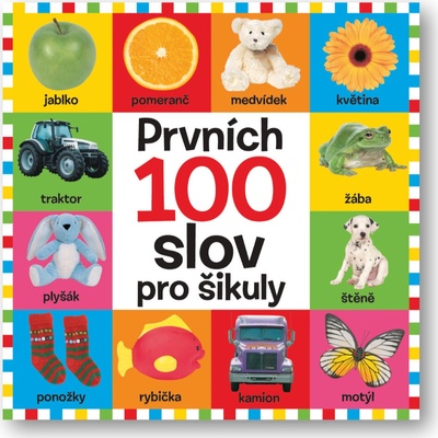 Prvních 100 slov pro šikuly