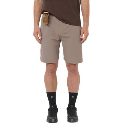 Salomon Wayfarer 2.0 Shorts LC2747000 iron