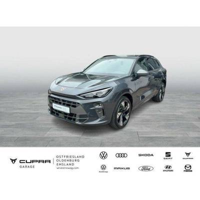 Cupra Terramar 1.5 eTSI DSG 110 kW