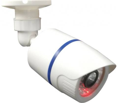 Bentech Dummy8