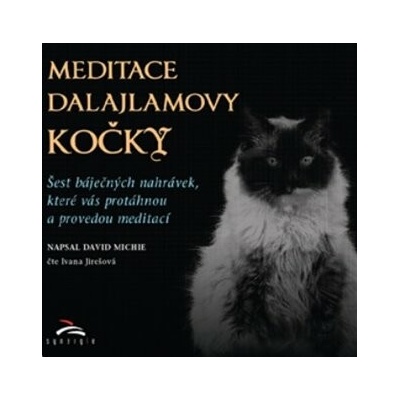 Meditace dalajlamovy kočky