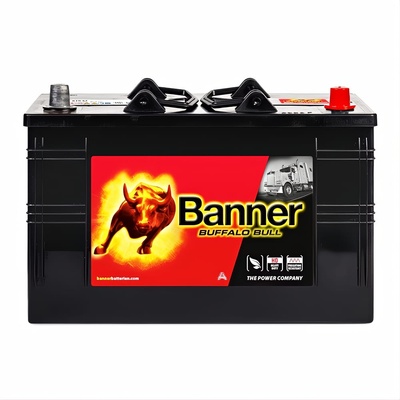Banner Buffalo Bull 110Ah 800A right+ (610 47)