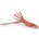 Papo Giant squid