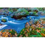 DIMEX ART Флизелинов фототапет белгийски ардени 375 x 250 см