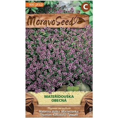 MoravoSeed Mateřídouška obecná