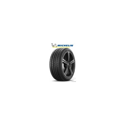 Michelin PILOT SPORT A/S 4 315/30 R21 105V