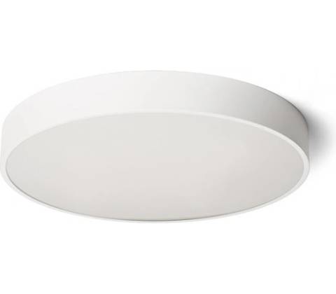 Rendl R13334