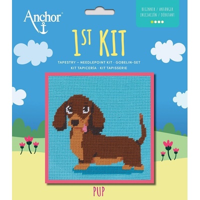 Anchor 1st Kit Cross Stitch Комплект за бродерия (3690000-20050)