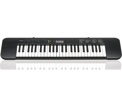 Casio CTK 240