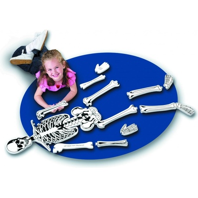 Learning Resources Pěnová puzzle kostra