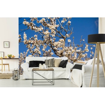 DIMEX ART s. r. o Самозалепваща се флизелинова фототапета дървета с бадемови клони 375 x 250 см