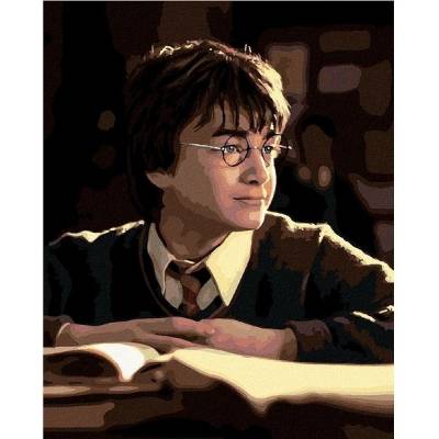 Zuty malování Podle čísel Harry Potter S Knihou 40 x 50 Cm Plátno Rám