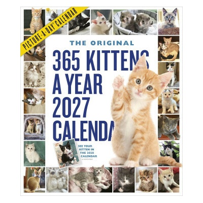 Workman s 365 Kittens-A-Year Picture-A-Day Wall 2027