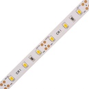 T-LED 07721