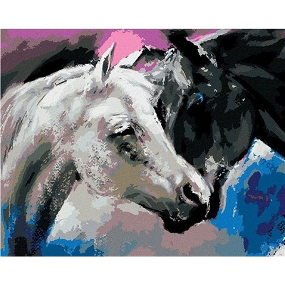 zuty Malování Podle Čísel Černý A Bílý Kůň 80 x 100 Cm Plátno Rám