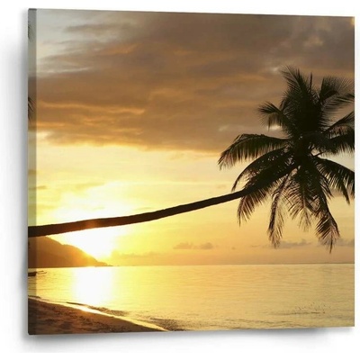 Sablio Obraz Palma - 50x50 cm