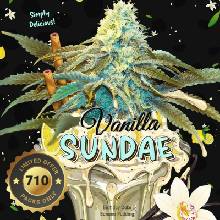 T.H. Seeds Vanilla Sundae 710 Special Edition semena neobsahuji THC 7 ks