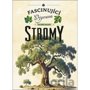 Stromy