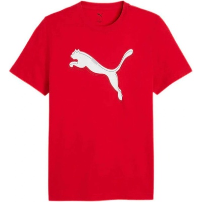Puma Graphic Cat Logo Tee M 69177411 for all time red