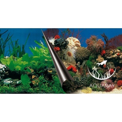 Europet Bernina Photo Decor Stone + Coral 60 x 30 cm