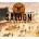 Saloon Simulator