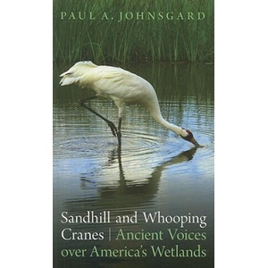 Sandhill and Whooping Cranes | Paul Johnsgard (ISBN: 9780803234963)
