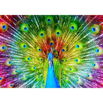 Image 1 of Enjoy - Puzzle Colorful Peacock - 1 000 piese