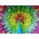 Enjoy - Puzzle Colorful Peacock - 1 000 piese
