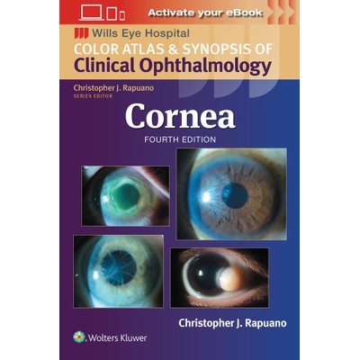 Cornea - Christopher J Rapuano